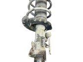 Front shock absorber with coil spring