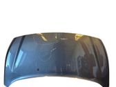 Engine bonnet/hood