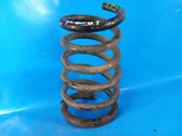 Rear coil spring