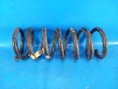 Rear coil spring
