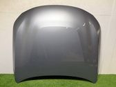 Engine bonnet/hood