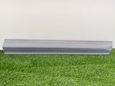 Front door trim (molding)