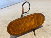 Front fender indicator light