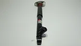 Rear shock absorber/damper