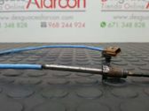 Sensor