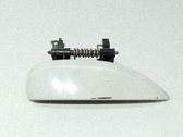 Manecilla externa puerta delantera