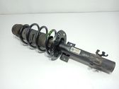 Amortiguador delantero con muelle espiral