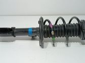 Amortiguador delantero con muelle espiral