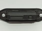 Manecilla externa puerta trasera