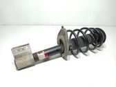 Amortiguador delantero con muelle espiral