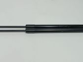 Tailgate/trunk strut/damper