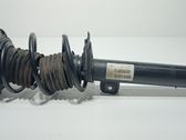 Amortiguador delantero con muelle espiral