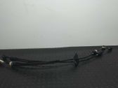 Other wiring loom