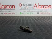 Sensor