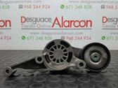 Tensor de correa del alternador