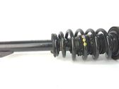 Front shock absorber with coil spring