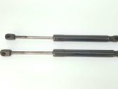 Tailgate/trunk strut/damper