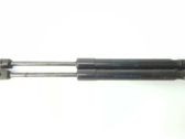 Tailgate/trunk strut/damper