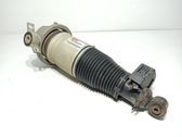 Rear shock absorber/damper