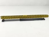Tailgate/trunk strut/damper