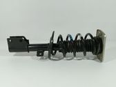 Front shock absorber with coil spring