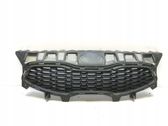 Grille de calandre avant