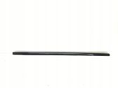 Rear door glass trim molding