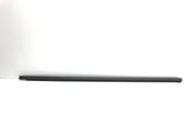 Rubber seal front door window/glass