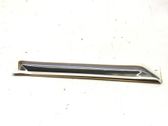 Front door trim (molding)