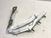 Tailgate/trunk/boot hinge