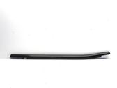 Rear door glass trim molding