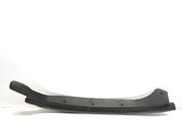 Front door trim (molding)