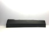 Front door trim (molding)