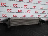 Intercooler radiator