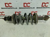 Rear shock absorber with coil spring