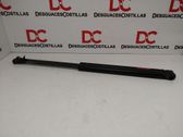Tailgate/trunk strut/damper