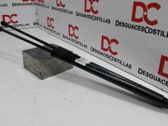 Tailgate/trunk strut/damper