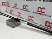 Tailgate/trunk strut/damper