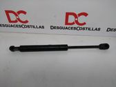 Front bonnet/hood damper/strut