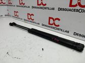 Tailgate/trunk strut/damper