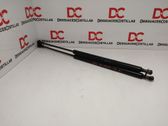 Tailgate/trunk strut/damper