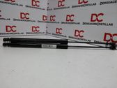 Tailgate/trunk strut/damper