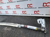 Airbag de la puerta delantera