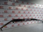 Airbag de la puerta delantera
