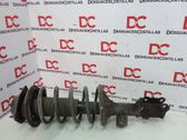 Front shock absorber with coil spring
