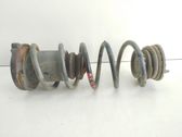 Front coil spring