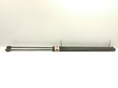 Tailgate/trunk strut/damper