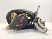 Ceinture de sécurité arrière