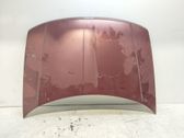 Motorhaube
