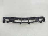 Front grill